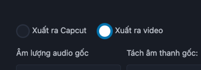 Tuỳ chọn xuất video